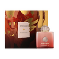 Amouage Guidance 46 100ml Master Box